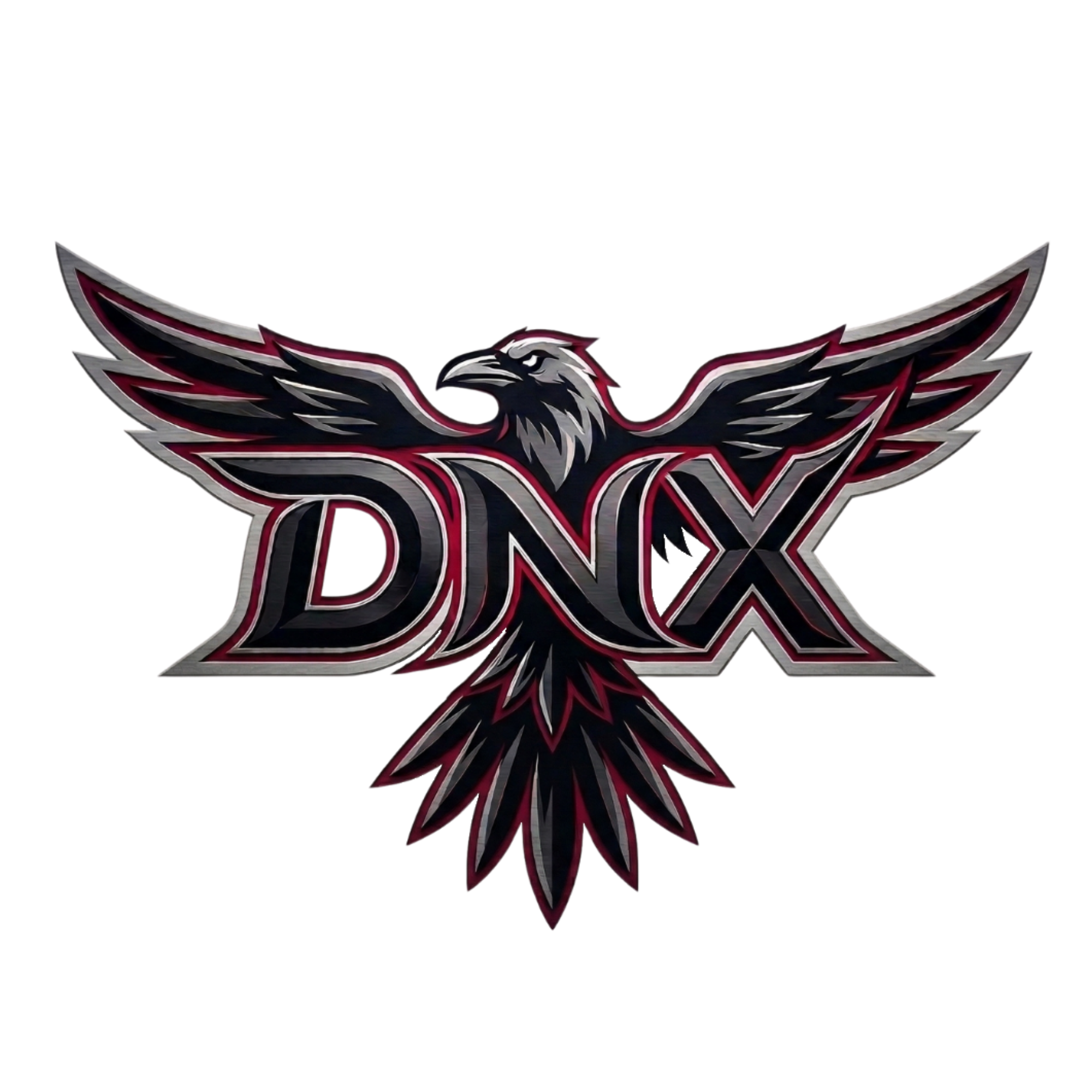 DNX logo